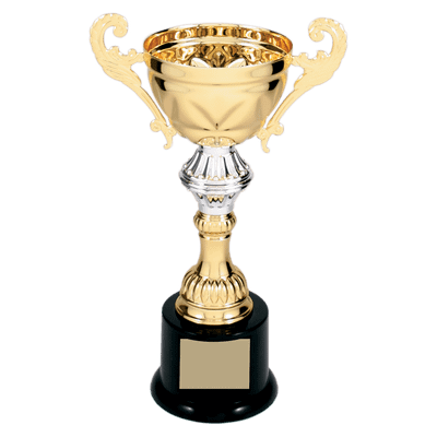8 3/4" Completed Metal Cup Trophy on Plastic Base