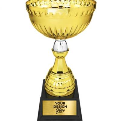 Custom Engraved Gold/Silver Metal Trophy Cup 10.25"