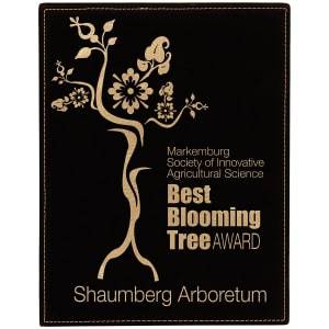 LLP379A - 7" x 9" Black/Gold Laserable Leatherette Plaque