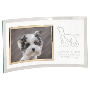 CE6510 - 13" x 7 1/2" Jade Glass Crescent with 7" x 5" Picture Frame