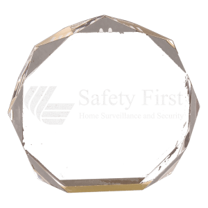 OCT7GD - 7" Gold Octagon Acrylic Award