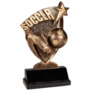 BCR106 - 6" Soccer Broadcast Resin