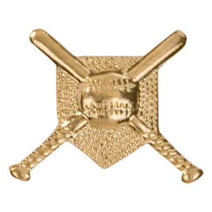 CHEN110 - Gold Crossed Bats Metal Chenille Letter Insignia