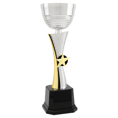 Silver/Gold Textured Star Completed Metal Cup Trophy