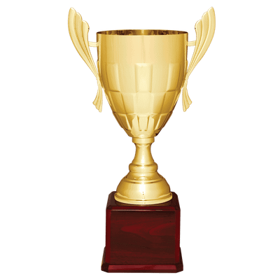 Checkered Metal Cup Trophy on Royal Piano Finish Base