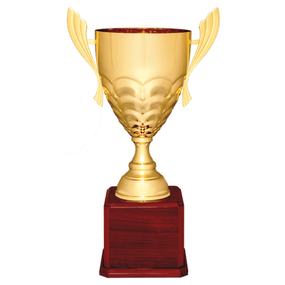 Scalloped Metal Cup Trophy on Royal Piano Finish Base