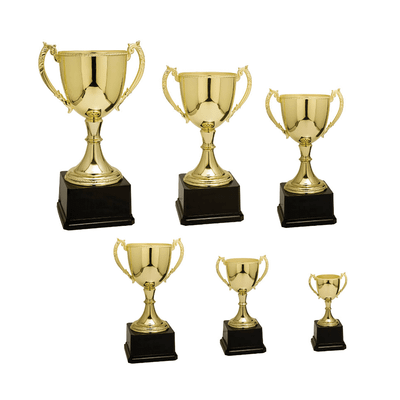Zinc Cup Trophy